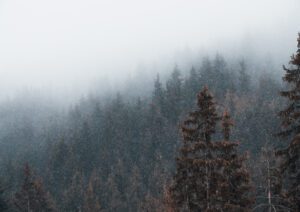 First Snow
